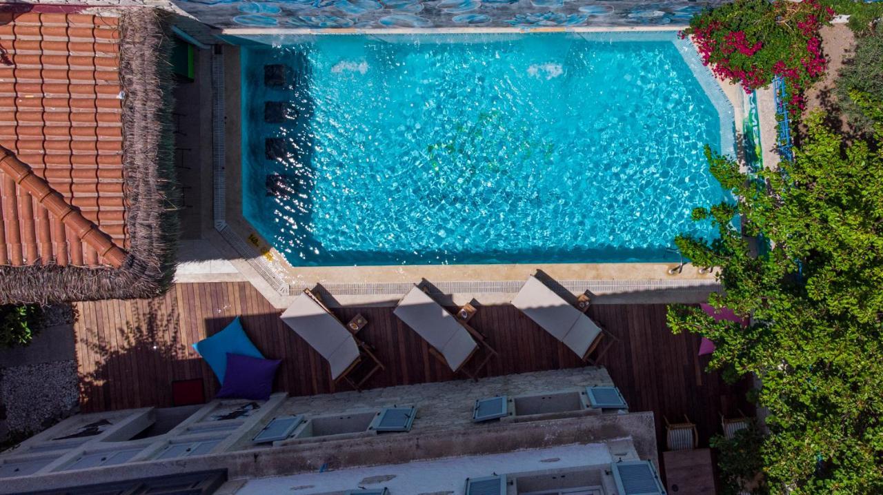 Provence Mansion ألاتشاتي المظهر الخارجي الصورة